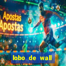 lobo de wall street online